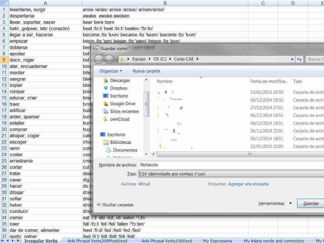 Hoja Excel con la información a convertir en mazo ANKI