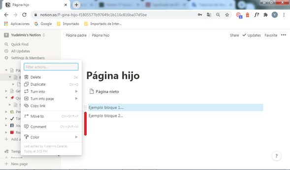Opciones para los bloques Notion