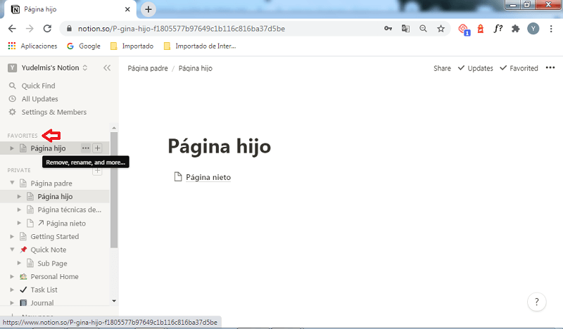 como configurar notion: sección favorites
