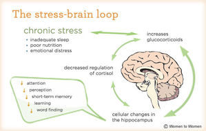 cerebro-estres