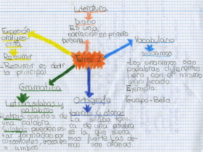 mapa mental con textos