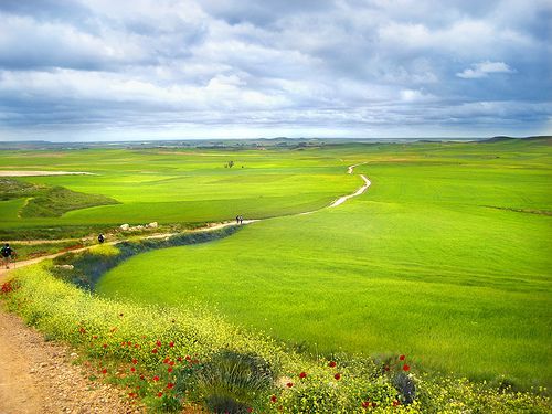 camino