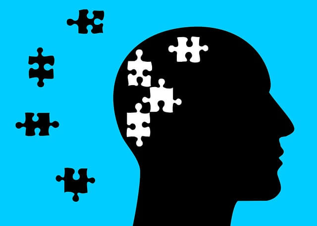 Puzzle en cerebro - Representación de tipos de memoria